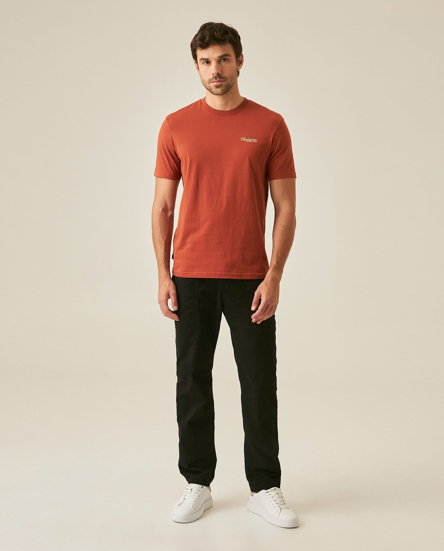 Men's T-Shirt Slim Fit Short Sleeve Cotton Jersey Medium Weight Front Graphic Back Superprint - Brown